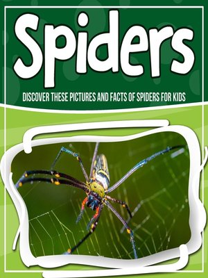 cover image of Spiders